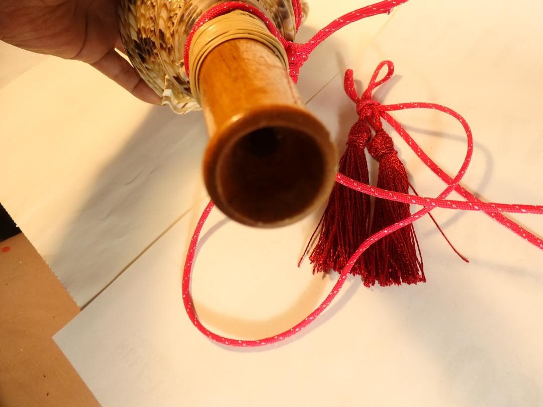 法螺貝 約37㎝ 木製歌口,赤紐付　新品　 MH-445