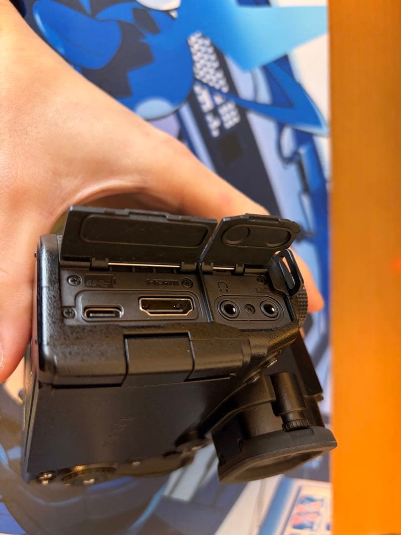 Panasonic Lumix S5Ⅱ (DC-S5M2)多数オプション＋保証書