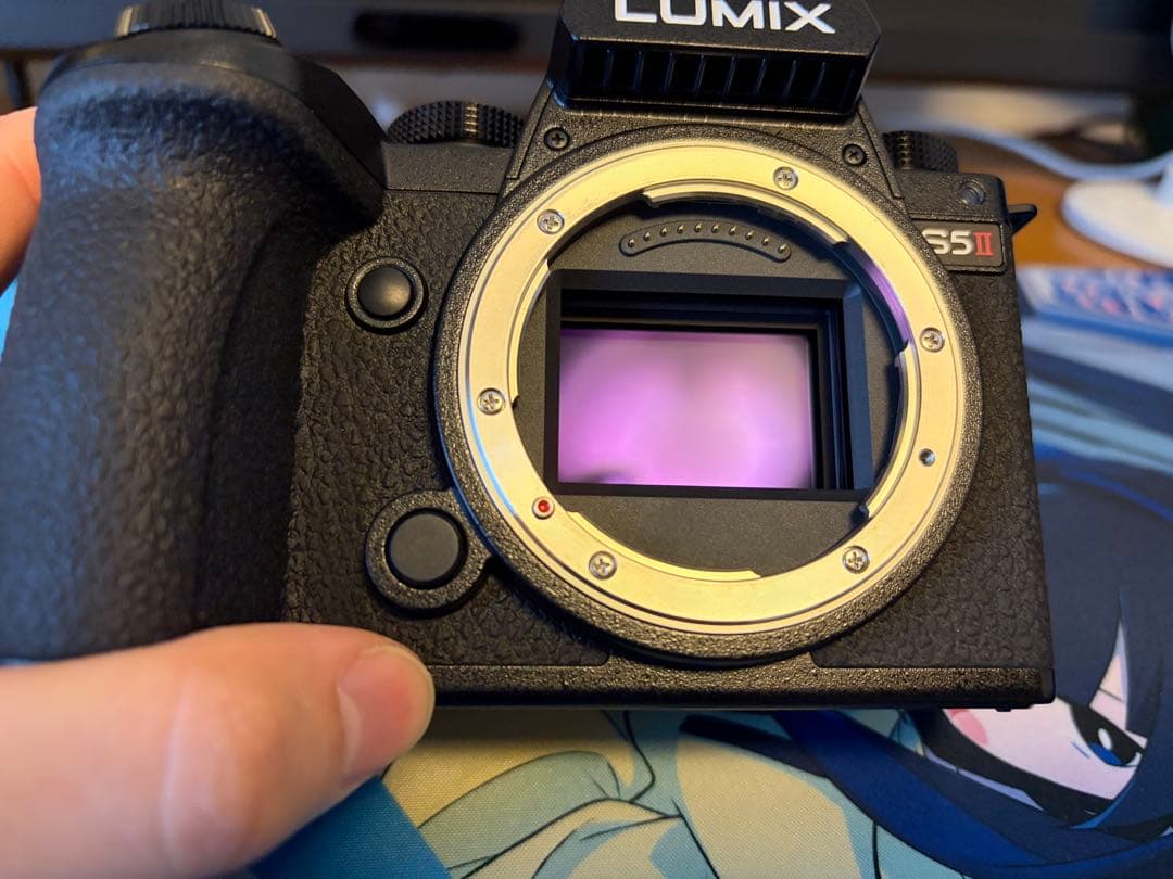 Panasonic Lumix S5Ⅱ (DC-S5M2)多数オプション＋保証書