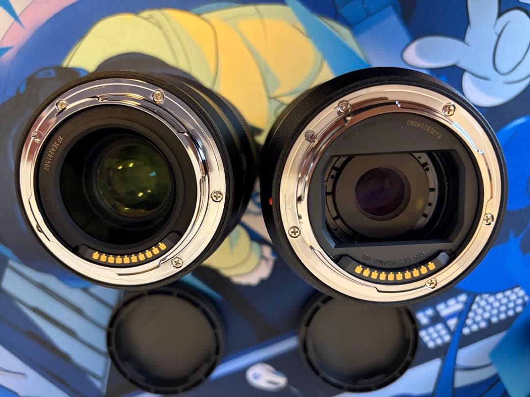 Panasonic Lumix S5Ⅱ (DC-S5M2)多数オプション＋保証書