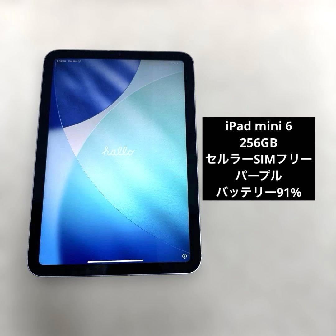 iPad mini6 256GB セルラー バッテリー91% シムフリー