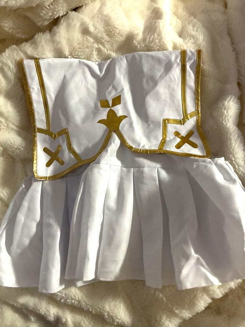 にじさんじ 星川サラ 共通衣装 ステージ