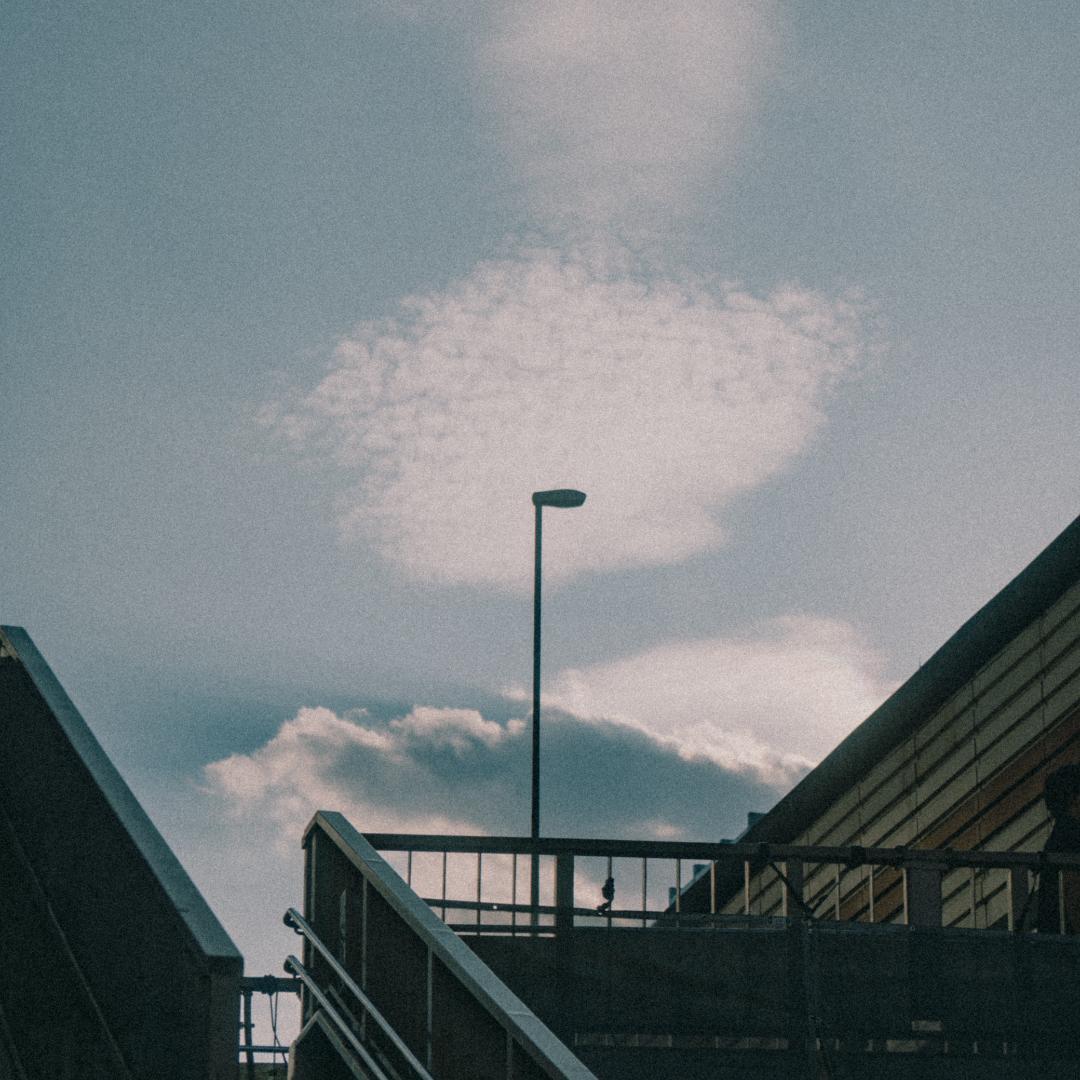 レンズ(ズーム) SONY VarioTessar T* FE 24-70mm F4 ZA OSS