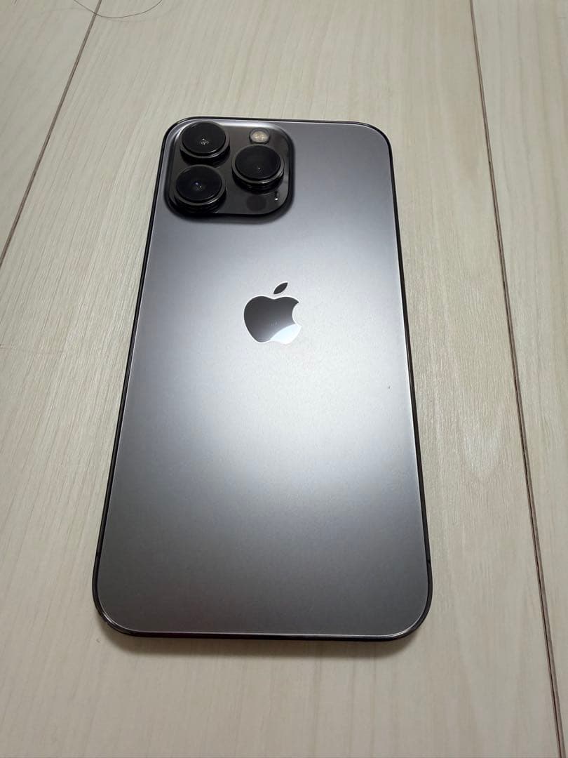Apple iPhone 13 Pro グラファイト 本体 充電ケーブル付き