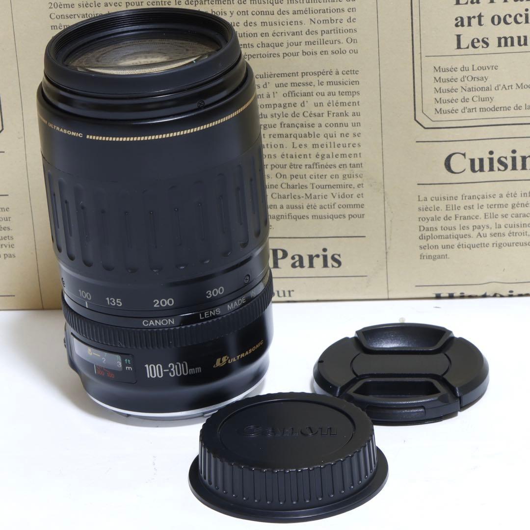 ◇ きんのすけ ◇Canon純正 300mm 望遠レンズ!!◇