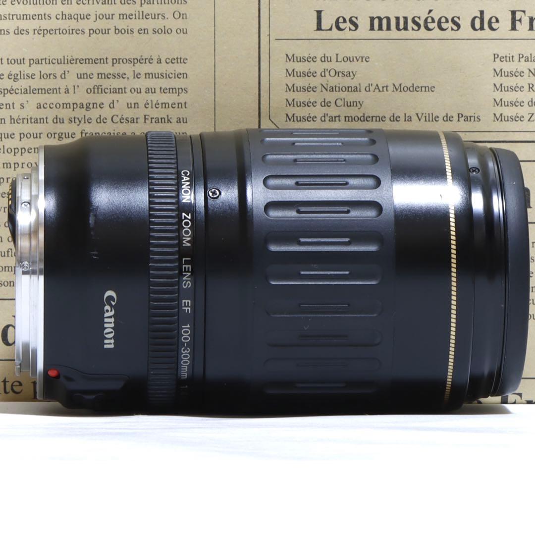 ◇ きんのすけ ◇Canon純正 300mm 望遠レンズ!!◇