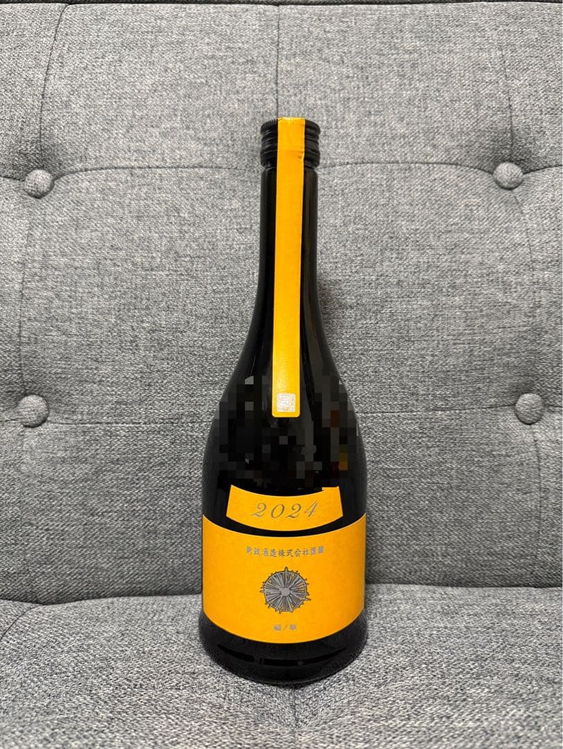 限定価格！新政　タンジェリン　山吹　2024