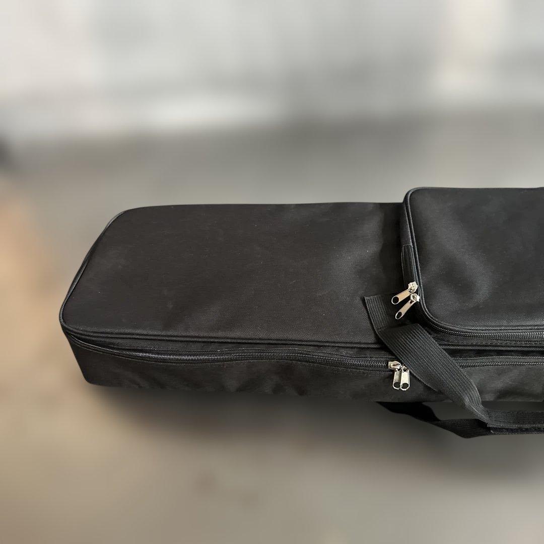 大幅お値下げ❣️三線本体 ケース付き