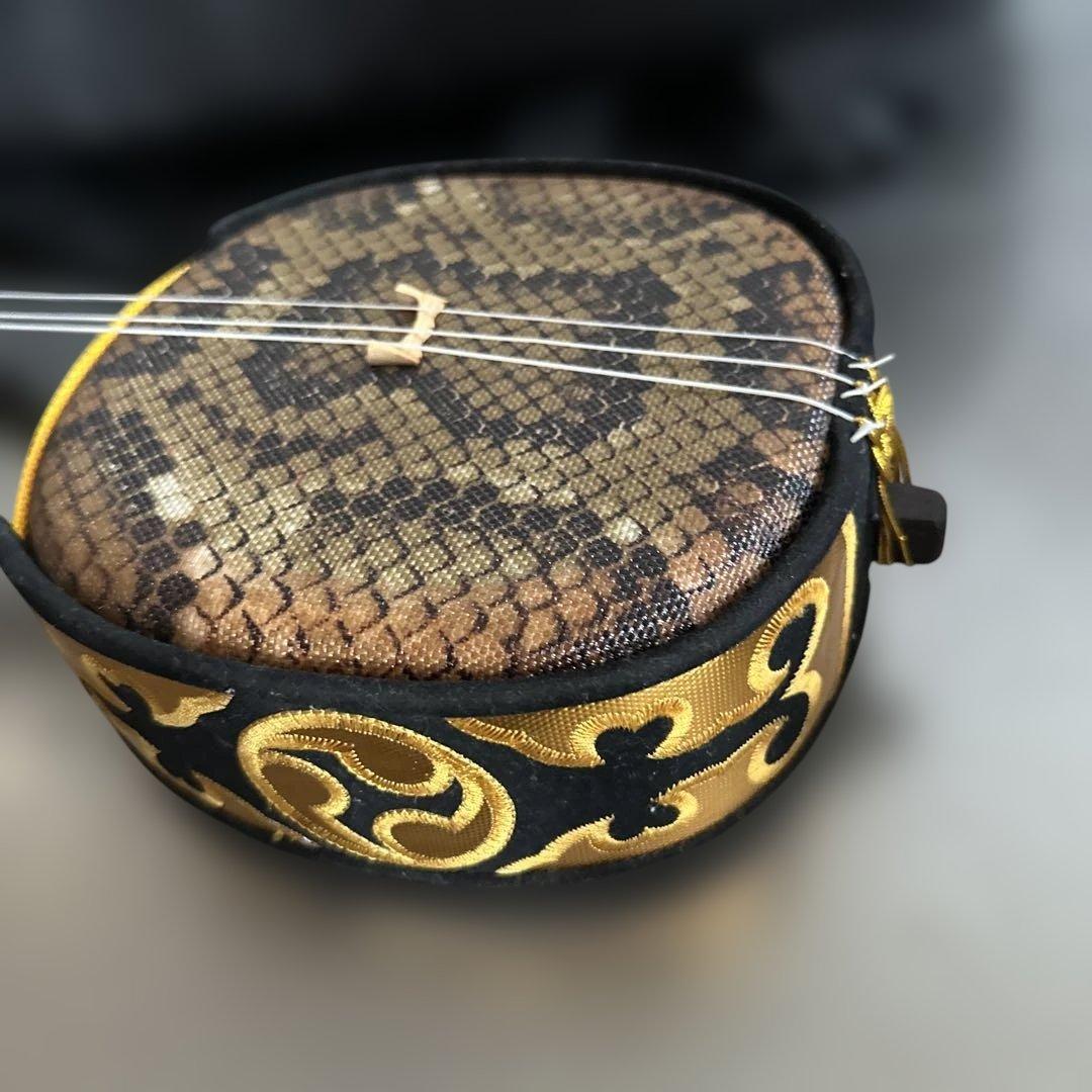 大幅お値下げ❣️三線本体 ケース付き