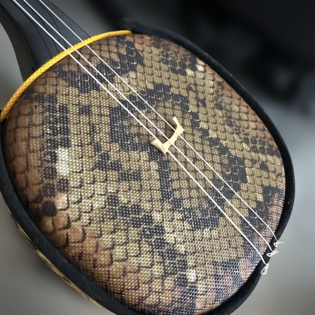 大幅お値下げ❣️三線本体 ケース付き