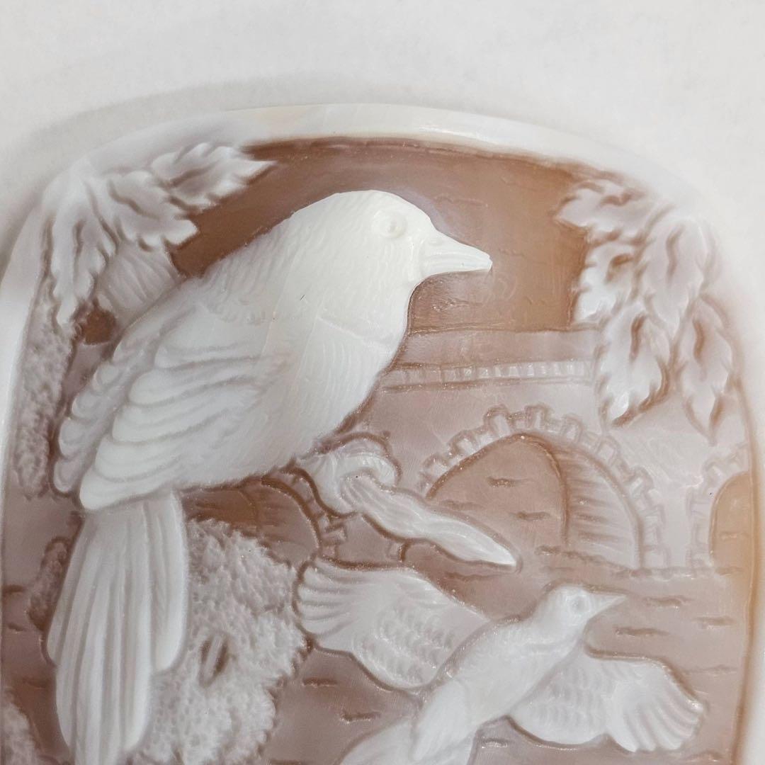 【F•R•ティッタ作】シェルカメオ ルース