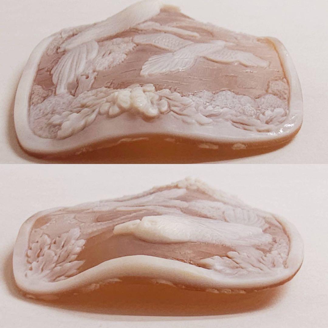 【F•R•ティッタ作】シェルカメオ ルース