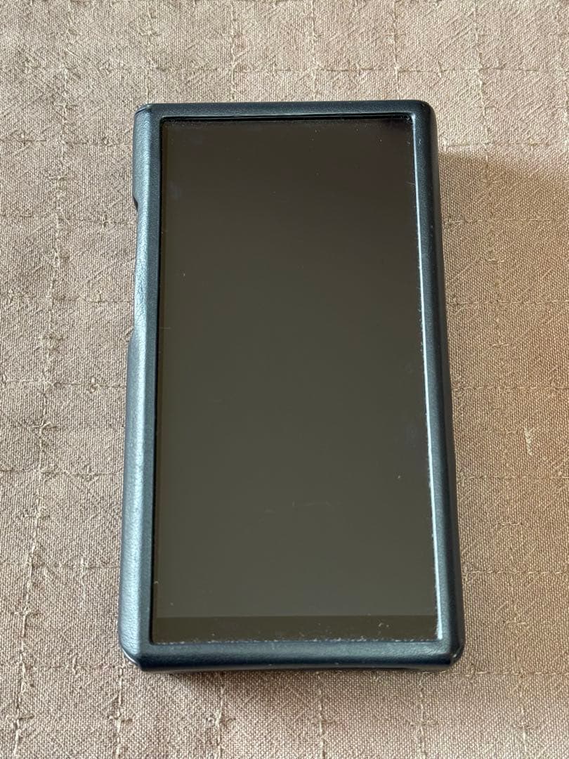 【美品】FIIO M23 Stainless 付属品完備