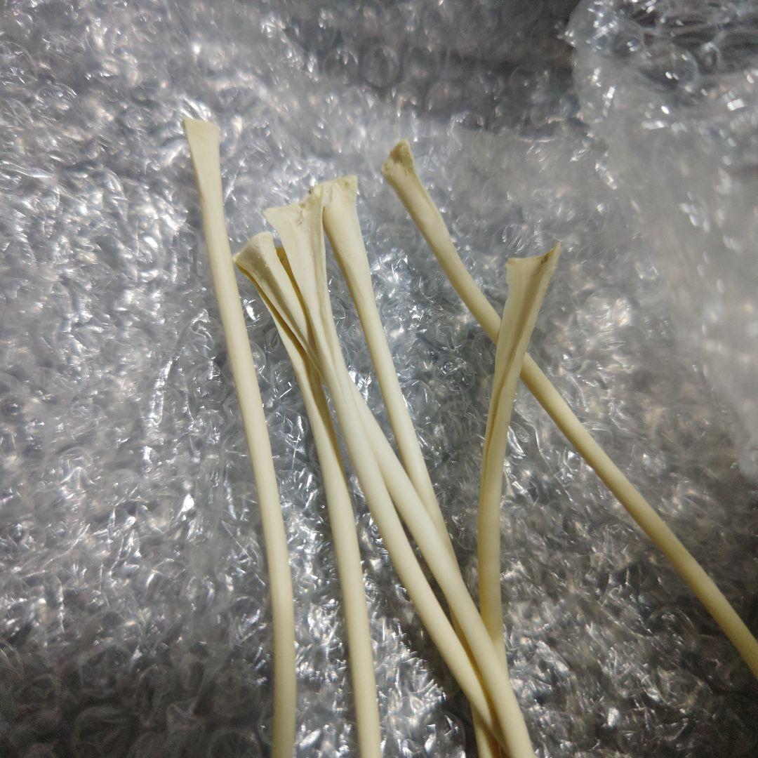 宇宙大怪獣ドゴラ　ガレージキット　未組立