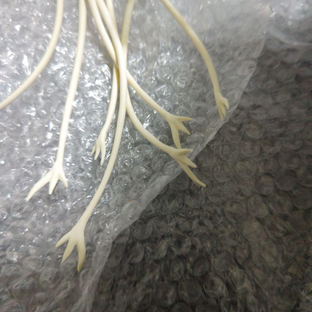 宇宙大怪獣ドゴラ　ガレージキット　未組立