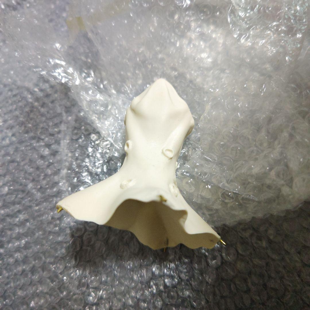 宇宙大怪獣ドゴラ　ガレージキット　未組立