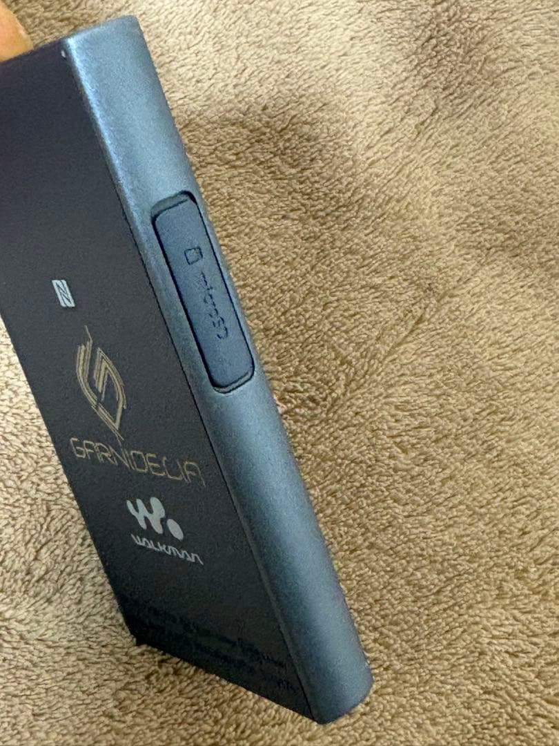 WALKMAN NW-A45 ムーンリットブルー