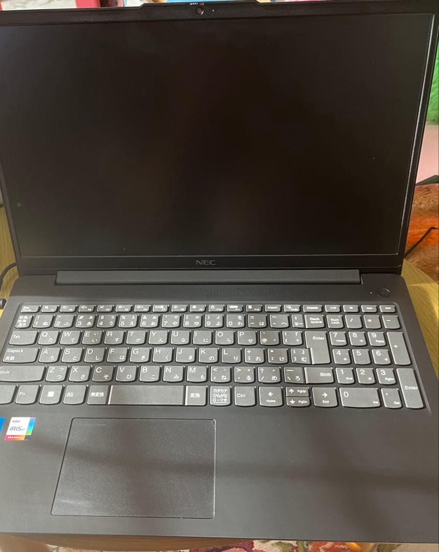 【美品】NEC LAVIE Direct N15 Slim 16GB 512GB