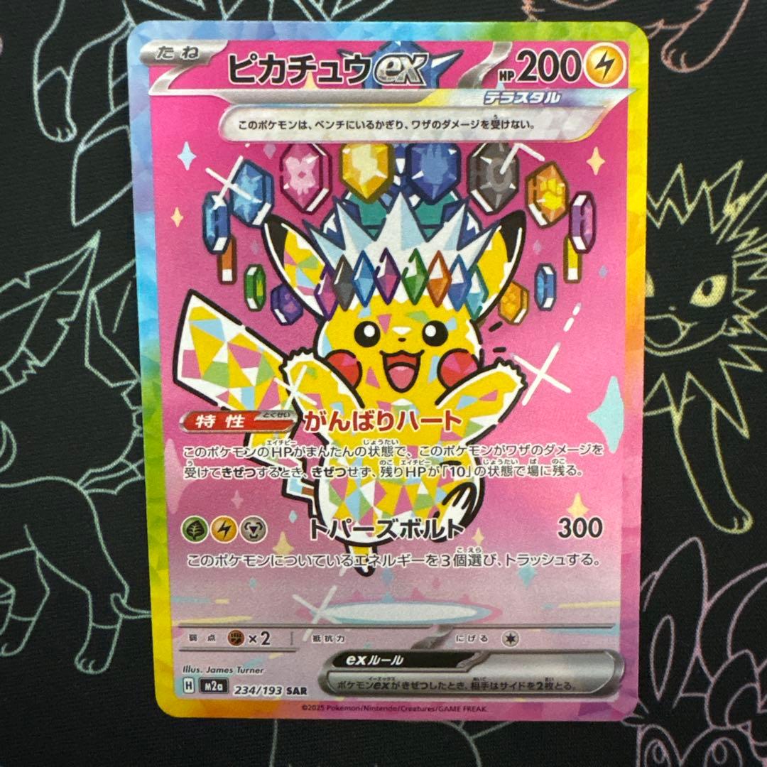 トランポリン大統領（プロフ確認願います）