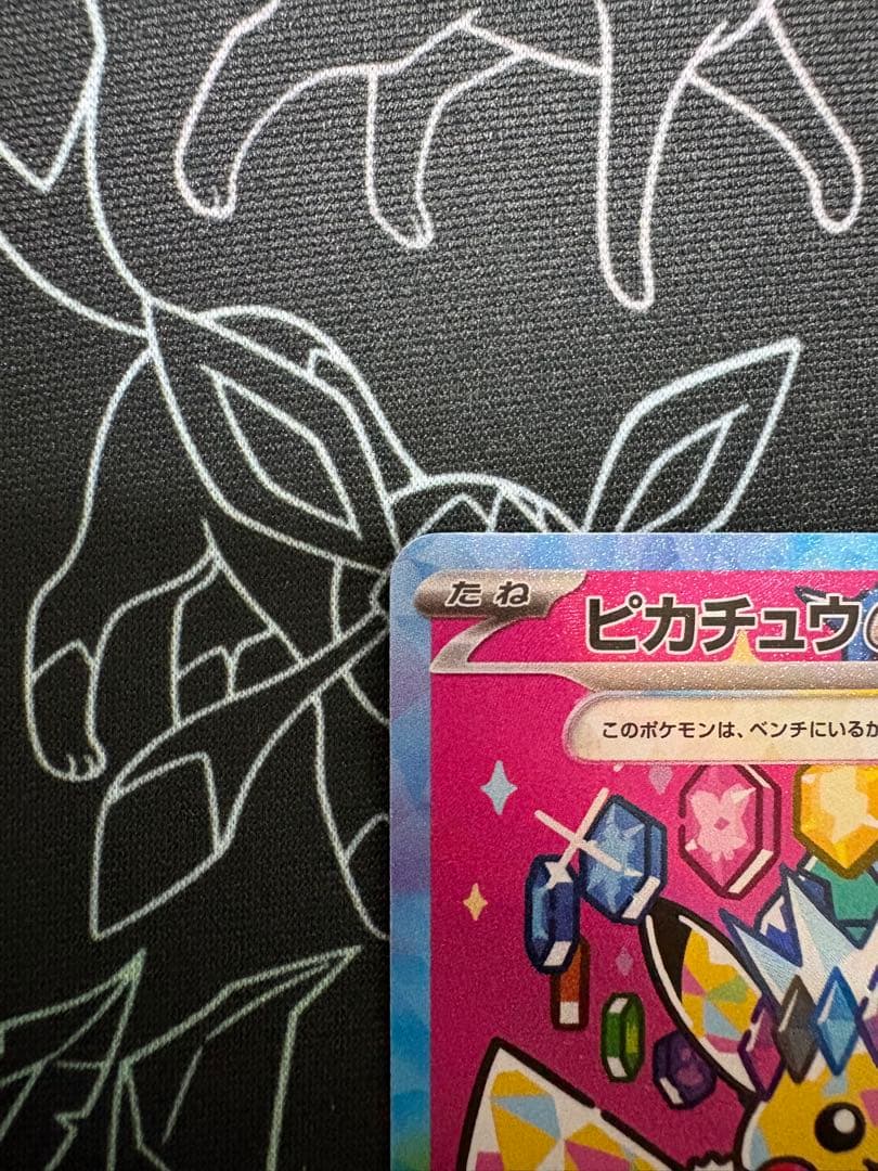 トランポリン大統領（プロフ確認願います）