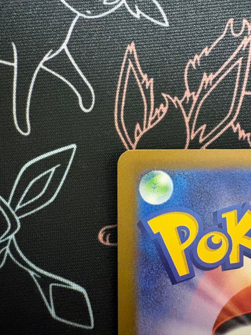 トランポリン大統領（プロフ確認願います）