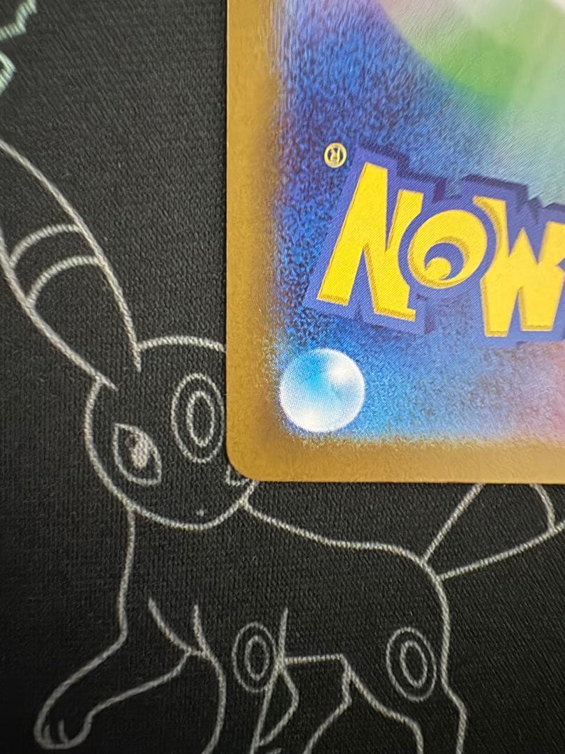 トランポリン大統領（プロフ確認願います）