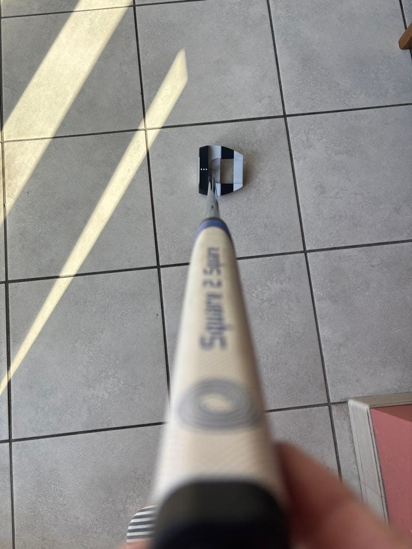 オデッセイ　Ai-ONE Squaqe 2 Square ジェイルバード　33