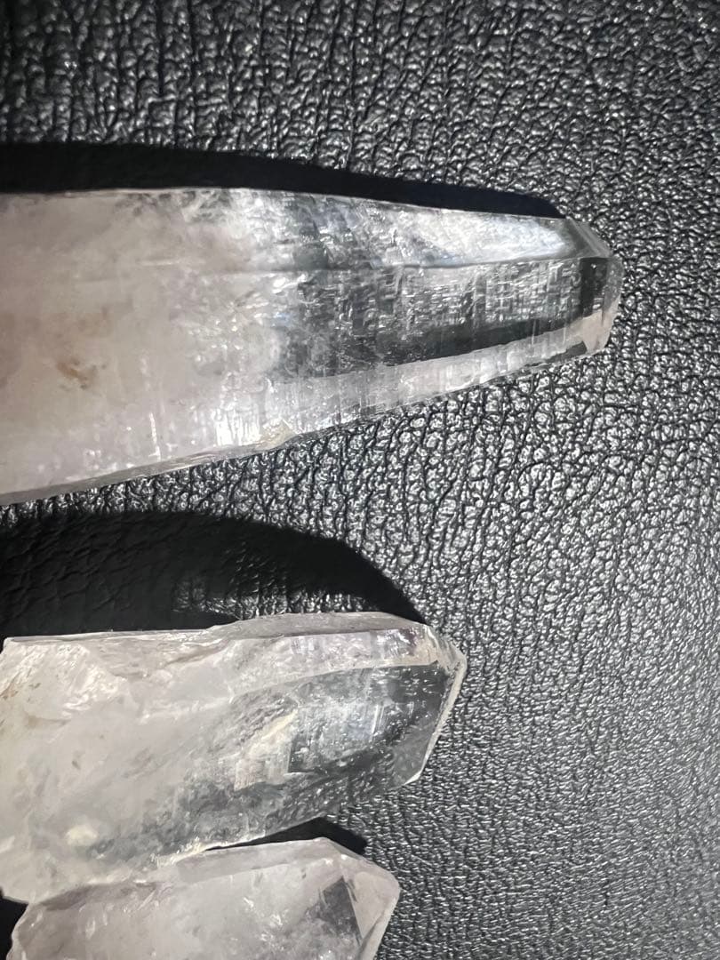 GANちゃんページ