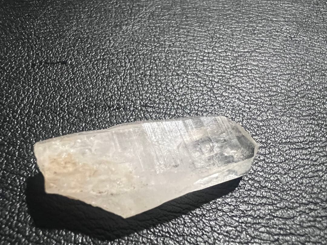 GANちゃんページ