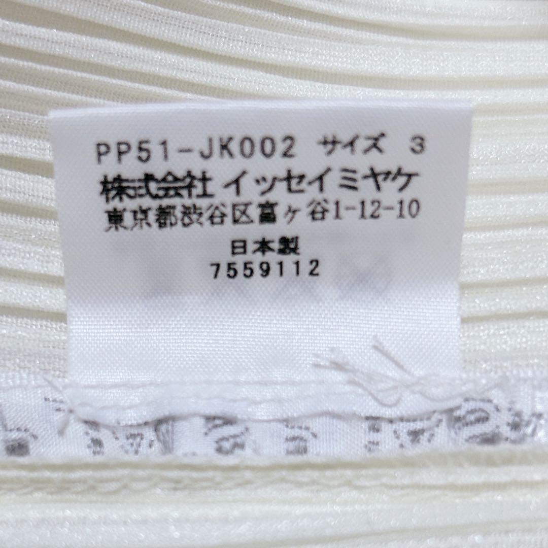 極美品✩プリーツプリーズ イッセイミヤケ ノースリーブ トップス ハイネック L