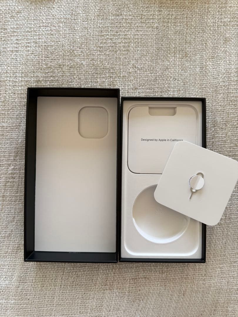 iPhone 12 Pro Max 256GB 【外箱付き】