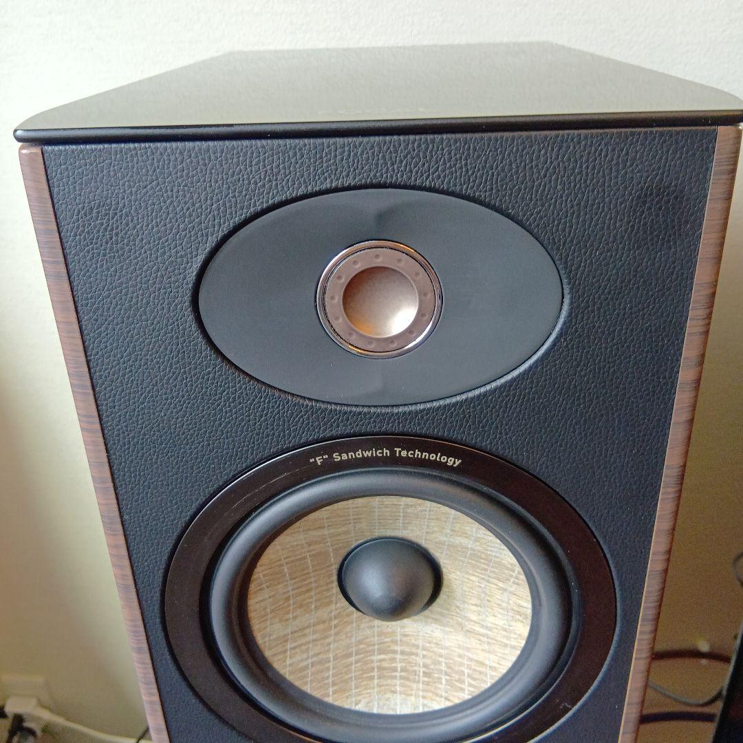 【杏子2021 プロフ必読】Focal Aria 926 NY 1本（左）