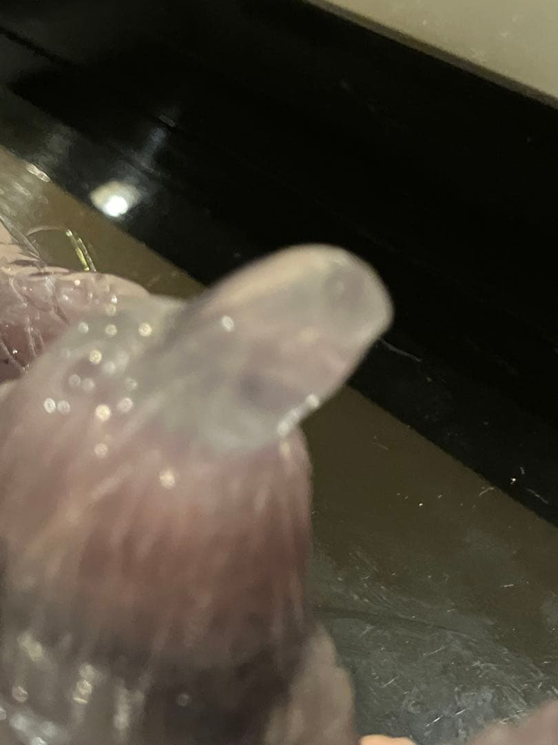 THETAさま専用　フローライトイーグル&ポイントセット