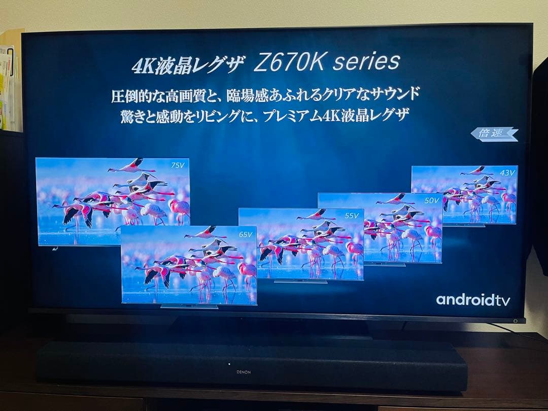 REGZA 55V Z670K 4K液晶テレビ下部に少し焼き付き有り