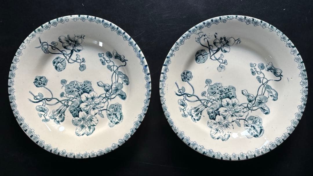 フランスアンティークプレート ナスタチウム花柄　皿2枚セット