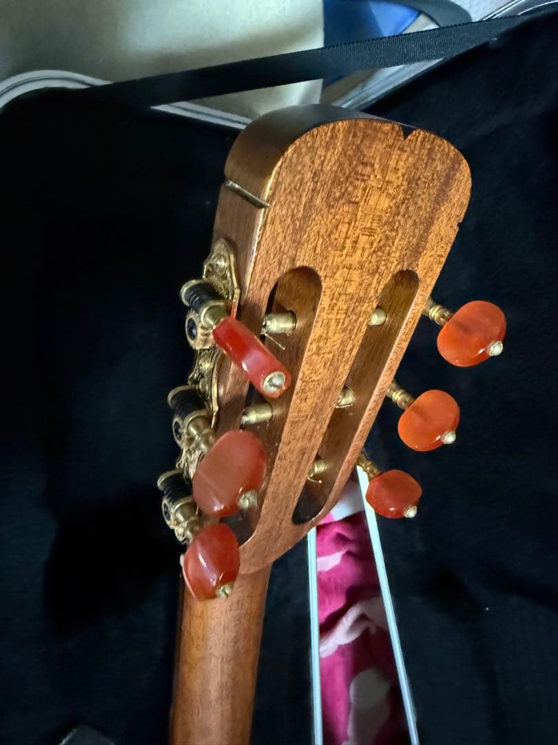 C*w様 ARIA ”THE SANDPIPER”SP-100CE Natura