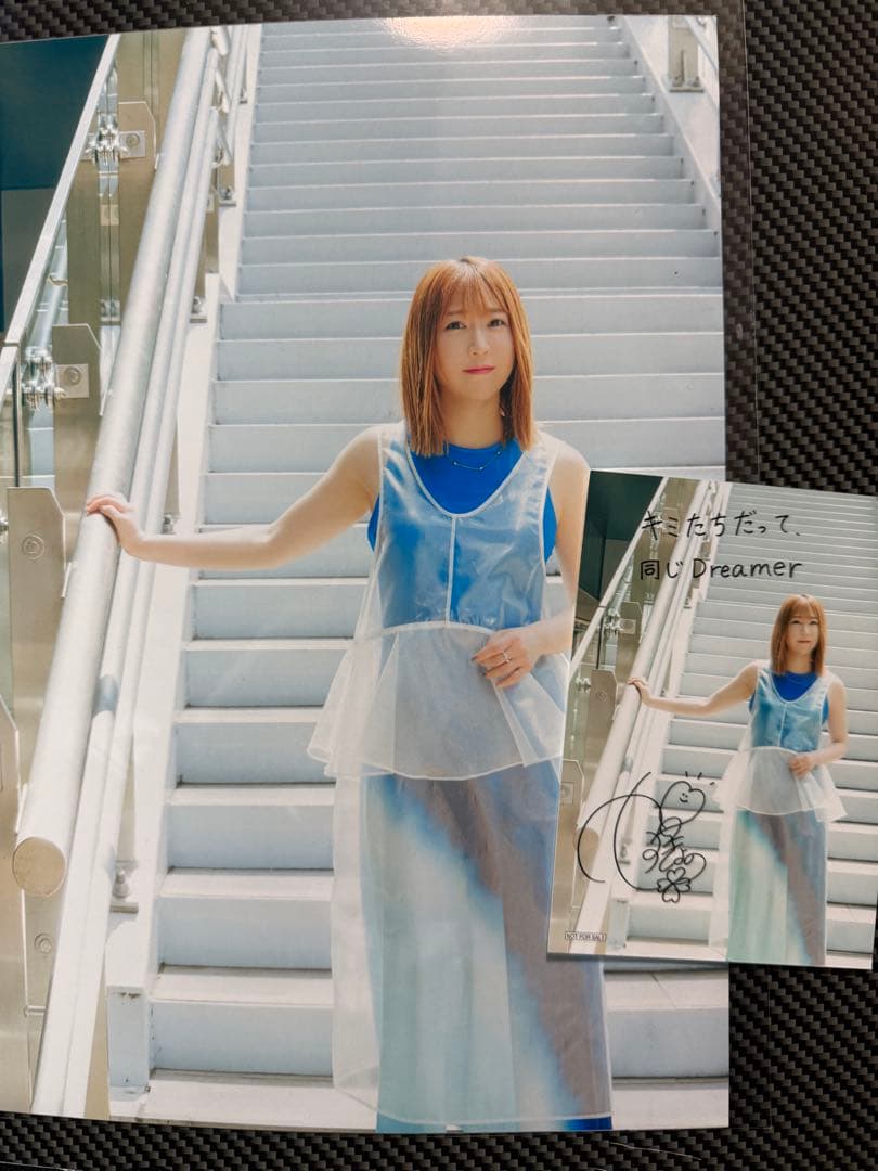 安野希世乃 アルゴリズム 店頭抽選会 B賞 アナザーカット写真 ブロマイド付き