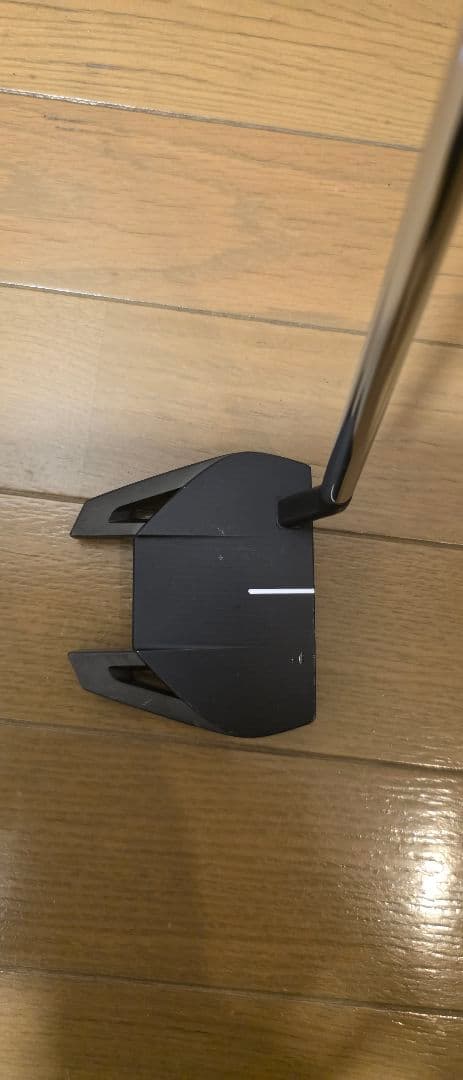 テーラーメイドパター