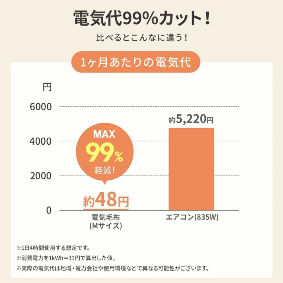ふわとろ毛布 電気毛布 掛け敷き ブランケット ふわふわ 肩掛け 膝掛け M