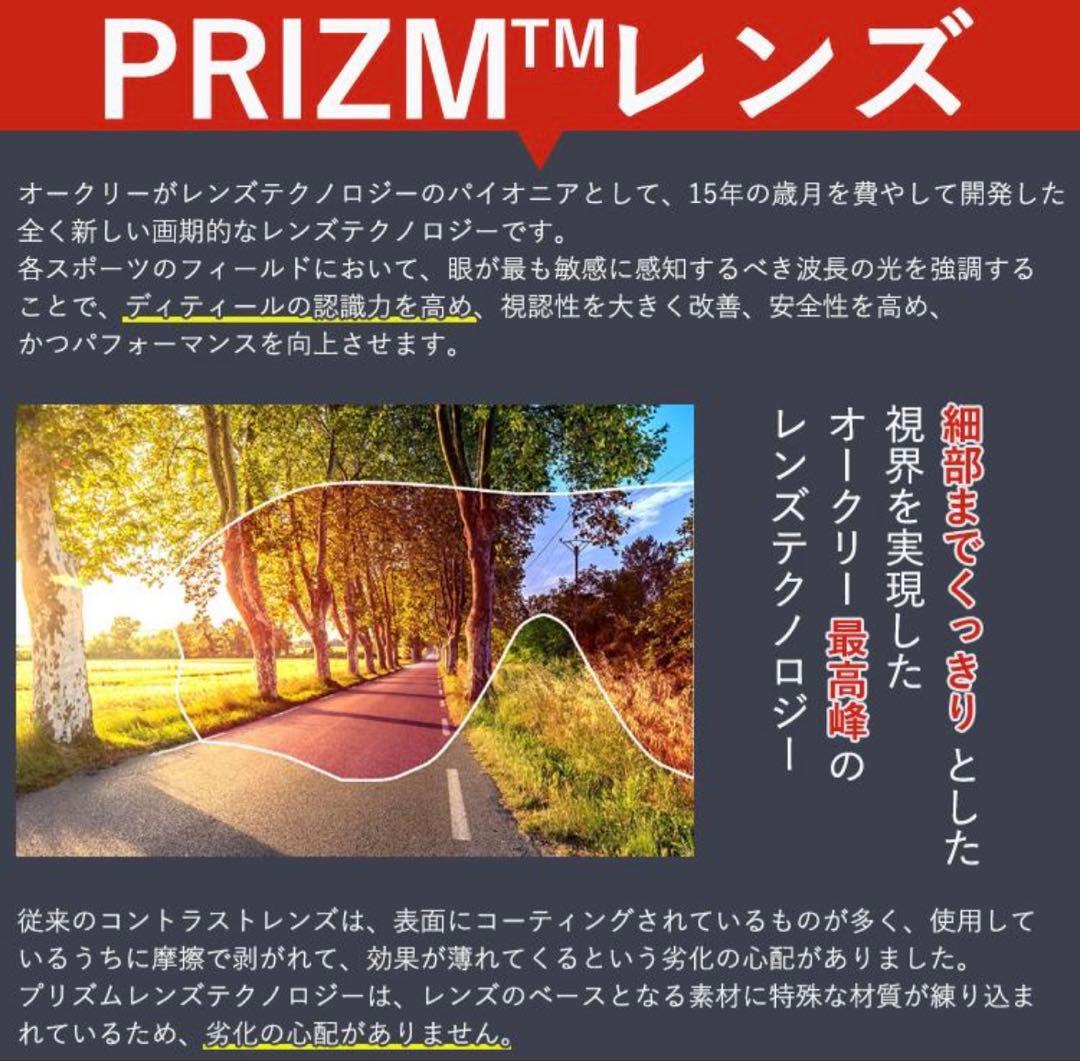 オークリーサングラス ジョーブレイカー OO9290-4631