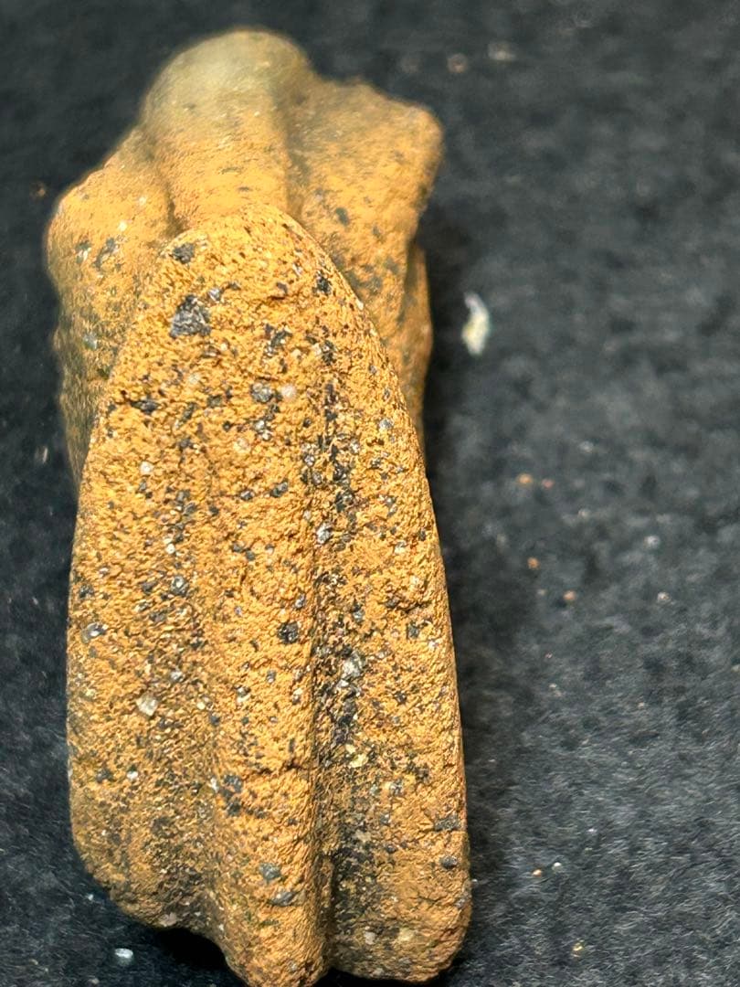 縄文土器　獣面把手と縄文土器底部