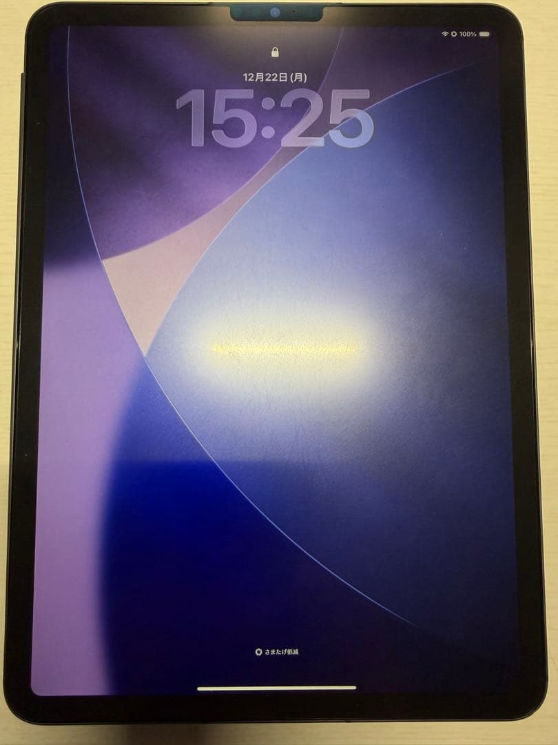 す*か様 iPad Pro 11インチ M1セルラー256GB Apple Pe