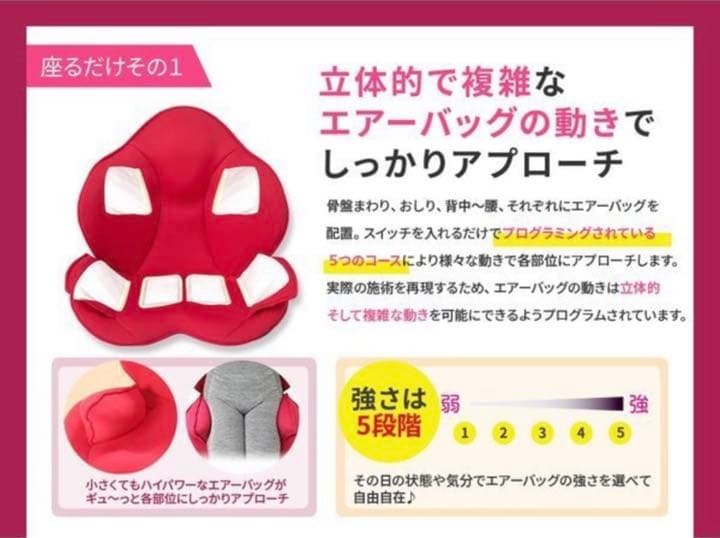 【限界お値下げ】ASHIYA BISEITAI 骨盤矯正マッサージチェア