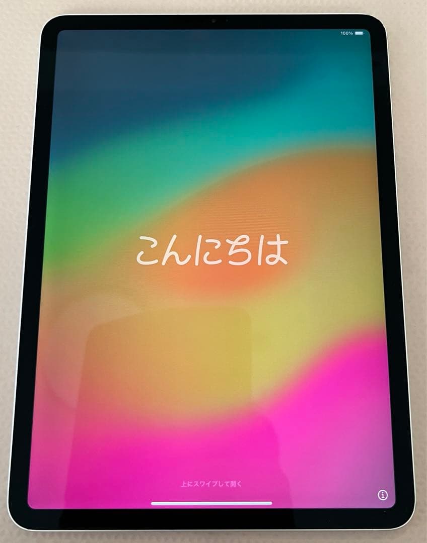 【ジャンク品】iPad Pro 11インチ(第1世代) 512GB ※最終価格