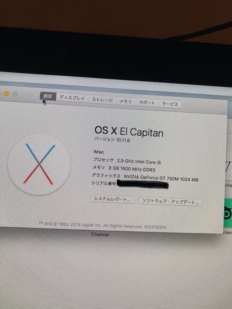 Macデスクトップ Apple iMac 21.5 Late 2013 1TB