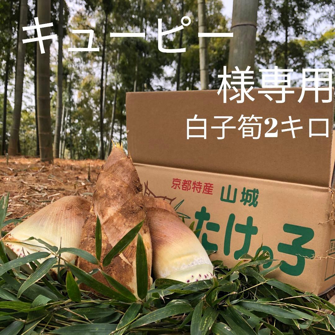 キューピー　白子筍2キロクール