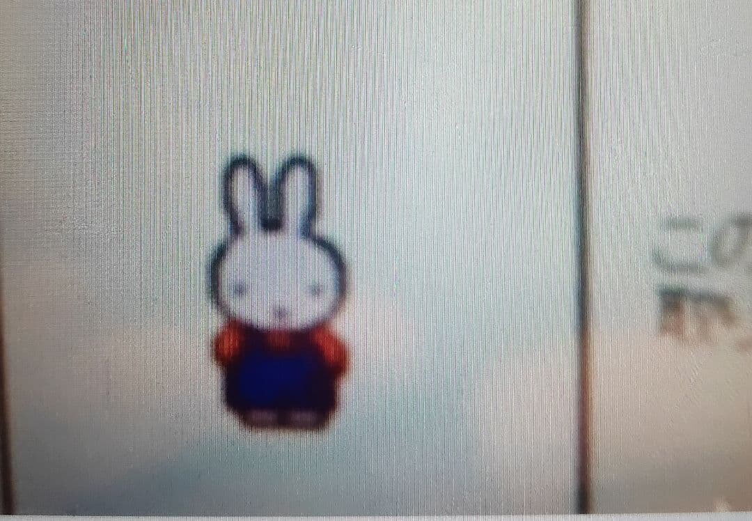 ミッフィー 刺繍 文字 厚地 ジューキ ミシン 本体 ハンドメイド 手芸