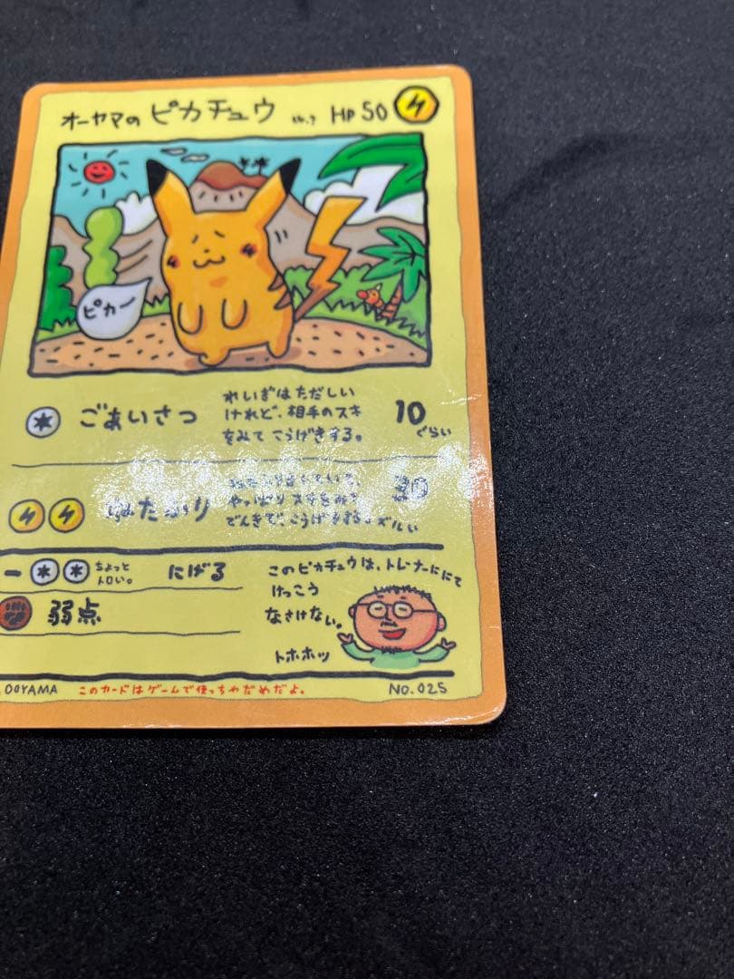 (最終値下)オーヤマのピカチュウ 拡張シート第3弾(緑版)