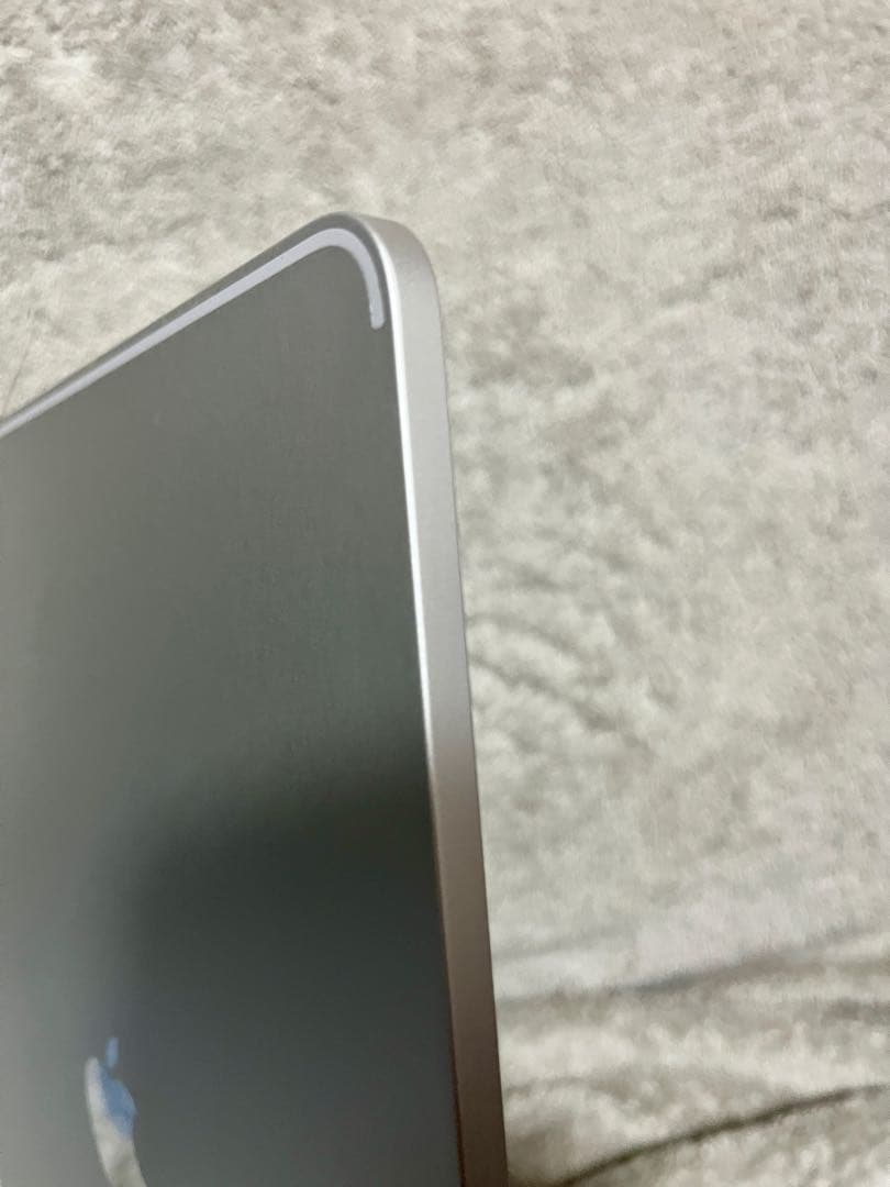 美品　iPad Pro M1チップ 12.9インチ　256GB おまけ有り