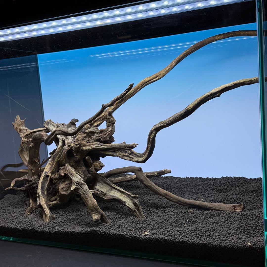 MSRW-7175スリムウッドレイアウトセット　60cm水槽用流木　アクアリウム